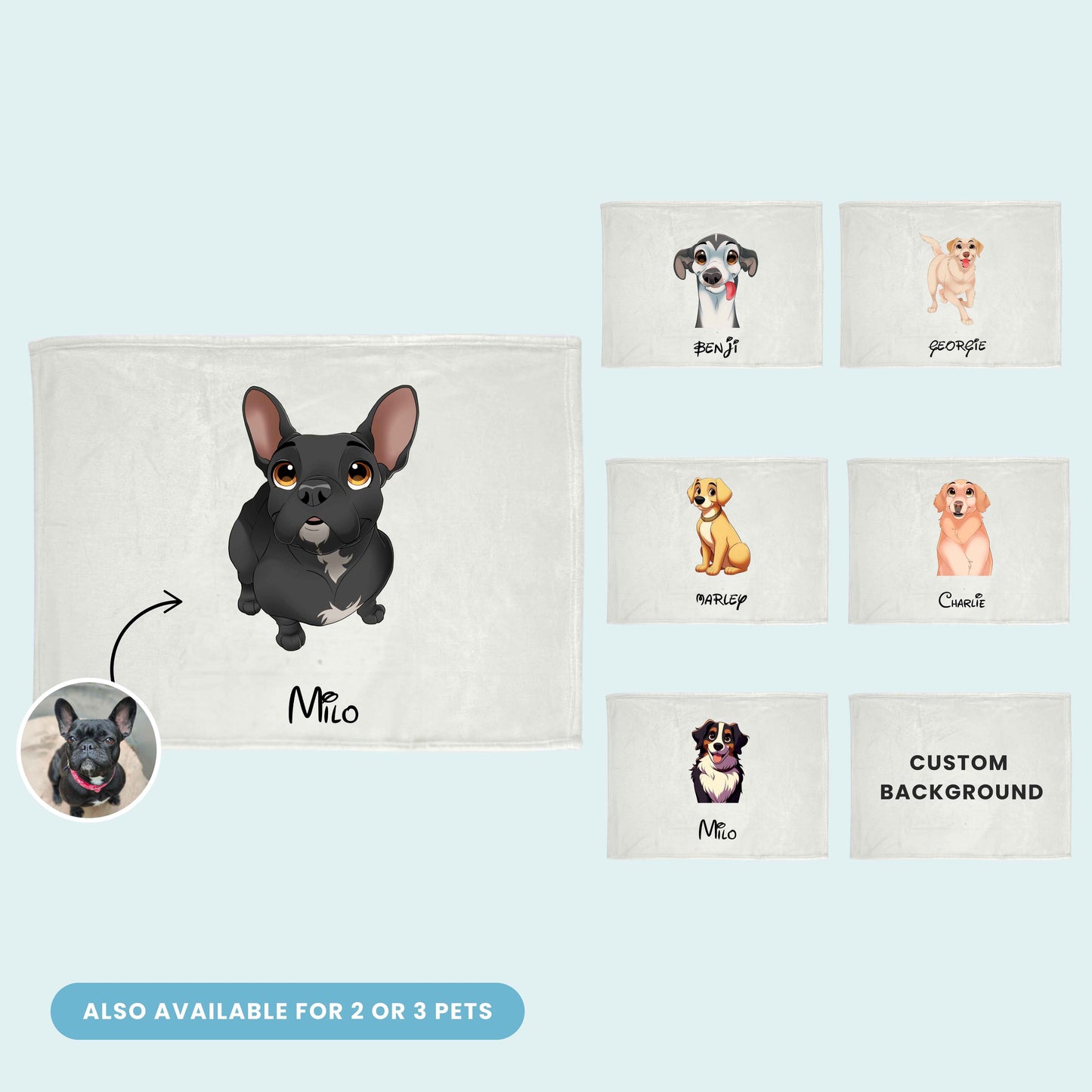 Custom Cartoon Pet Blanket - 3 Pet