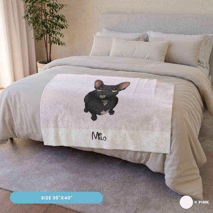 Custom Cartoon Pet Blanket