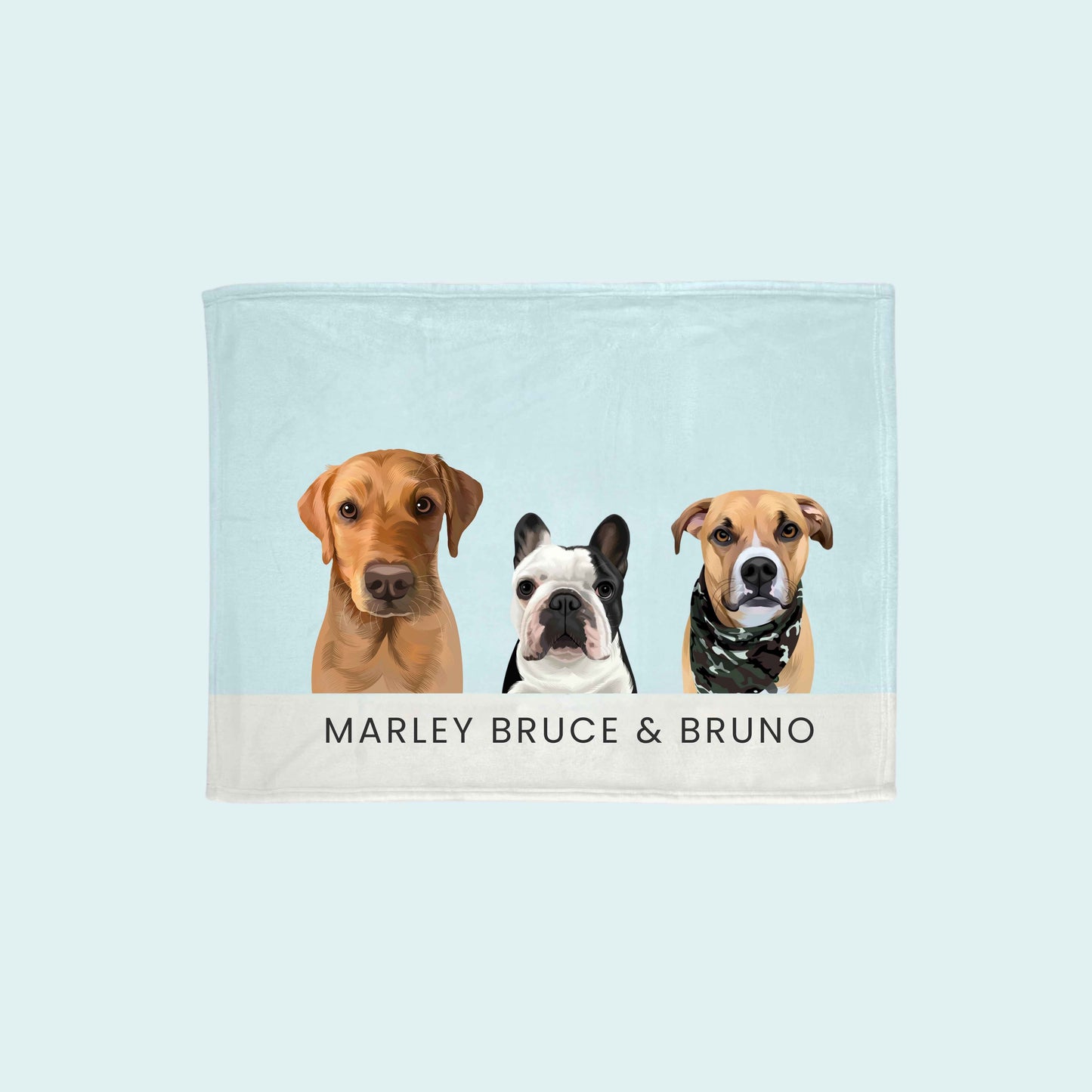 Custom Modern Pet Blanket